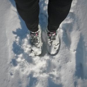 January 2017 Income Report: Winter jogging